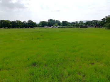 View from the pitches