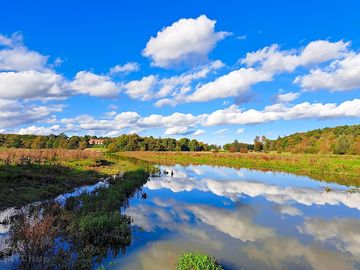 River and meadow