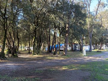 The site