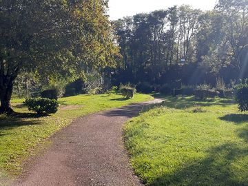 Track to tree-shaded pitches