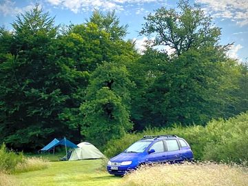 Wild meadow pitch