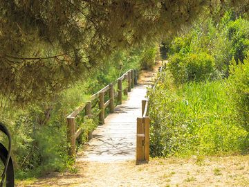 Path to the beach