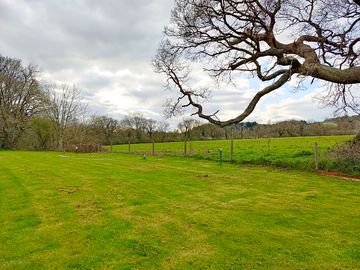 Views over fields