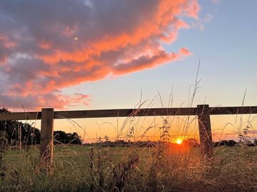 Sunset over the meadow