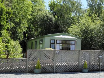 A peaceful woodland setting