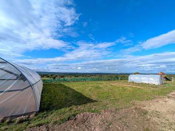 Camping pitches
