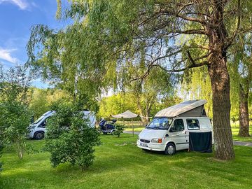 Electric pitches among the trees