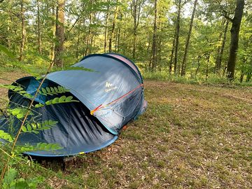 Pitches in the forest