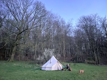 Beautiful bell tent