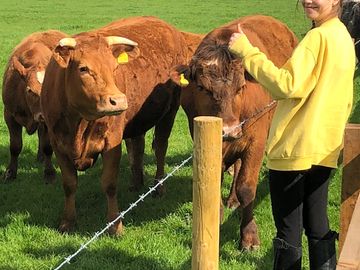 Meeting the locals