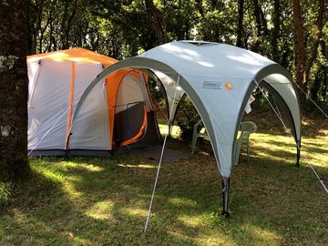 Tent among the trees