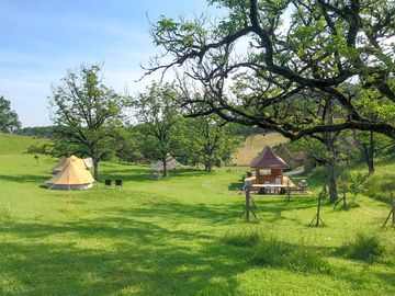 Spacious grass pitch