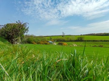View of the field, with lots of space