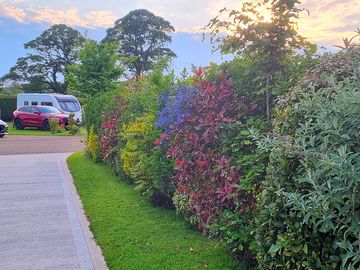 Path to toilets
