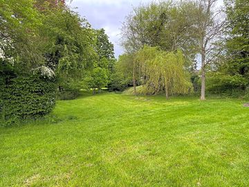 Pond at the edge of the field