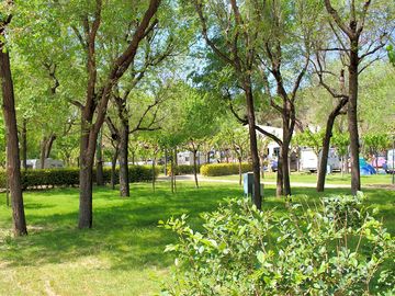 The camping pitches