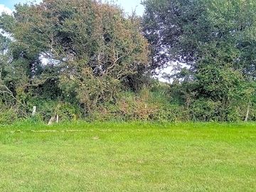 Grass pitches