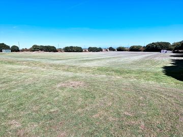 View of the site
