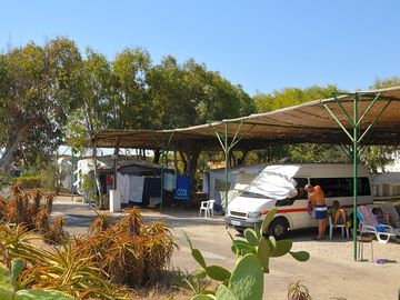 Sunny day at the site