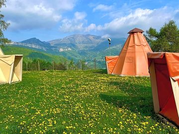 Tipis in the meadow