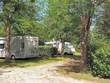 Pitches under the trees