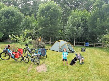 Grass pitches