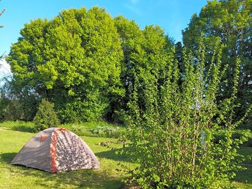 Camping field lined by trees