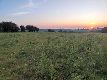 One tent per field
