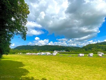 View of the site from the woodland