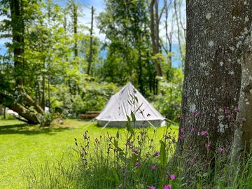 The Mole Hill glamping tent