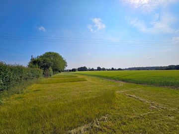 Pitches are separated by strips of long grass