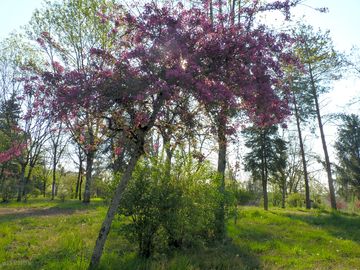 Colours of spring