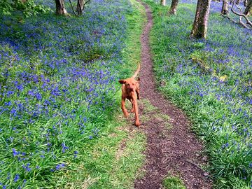 Surrounded by countryside with great walks