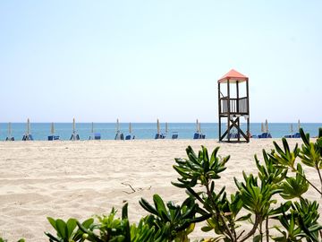 The beach