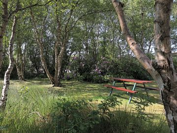 Picnic benches around the park