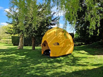 Solo tent with camp bed