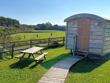 Worcester Pearmain pod
