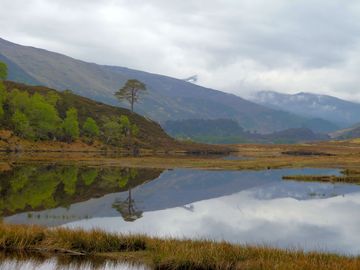 Glen strathfarrar, half an hour's drive away