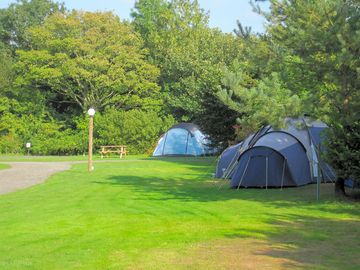 Well-spaced camping pitches