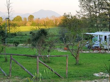 Grass campervan pitch