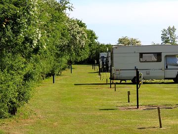 Grass pitches