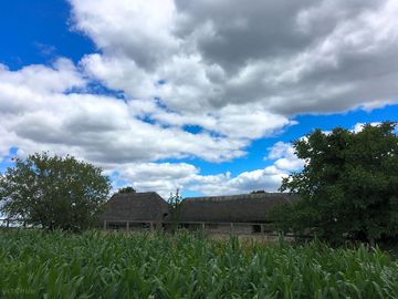 View from the maize maze