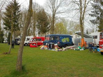Pitches between the trees