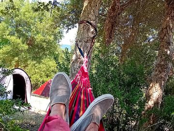 View from the tent's hammock