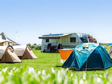 Grass pitches