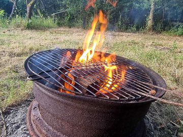 Fire pit cooking