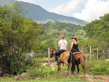 Horse back riding in the jungle