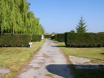 Path to the pitches