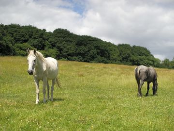 Derby and smith come to say hello