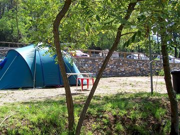 Tent under the trees